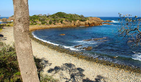 Mimosa Rocks Walking Track - Accommodation Bookings 2