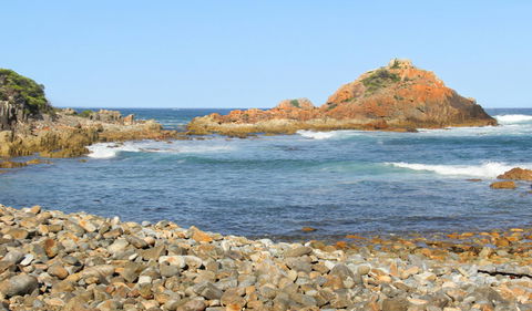 Mimosa Rocks Walking Track - Accommodation Bookings 3