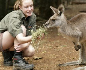 Macadamia Castle - Accommodation Bookings 2