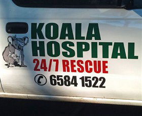 Koala Hospital - Accommodation Bookings 8
