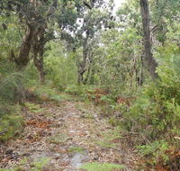 Kinchela Trig Lookout walk - Accommodation Bookings