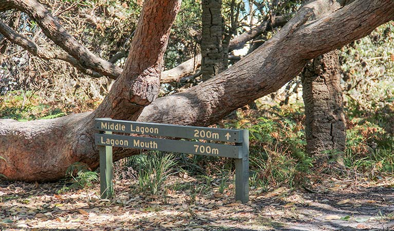 Wyndham ACT Accommodation Bookings