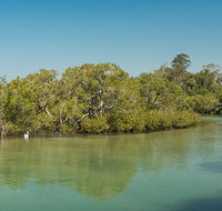 Tyagarah Nature Reserve - Accommodation Bookings