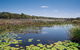Tyagarah Nature Reserve - thumb 1