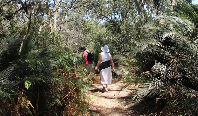 Mogareeka NSW Accommodation Bookings