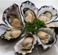 Tathra Oysters - Accommodation Bookings