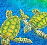 Sea Silks Gallery - Accommodation Bookings