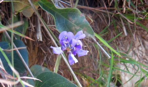 Broken Head Nature Reserve - Accommodation Bookings 1