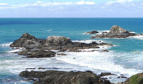 Broken Head Nature Reserve - Accommodation Bookings 3