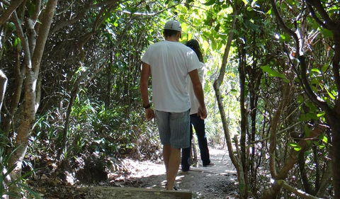Three Sisters Walking Track - Accommodation Bookings 0