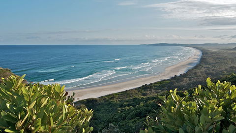 Cape Byron State Conservation Area - Accommodation Bookings 0