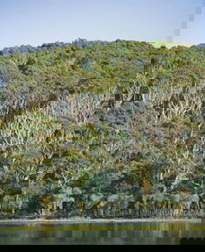 Ben Boyd National Park - Accommodation Bookings 5