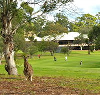 Pambula Merimbula Golf Club - Accommodation Bookings