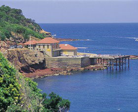 Merimbula Aquarium - Accommodation Bookings 0