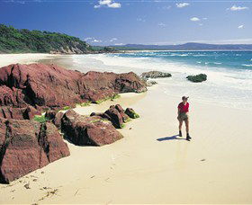 Pambula Beach - Accommodation Bookings 0