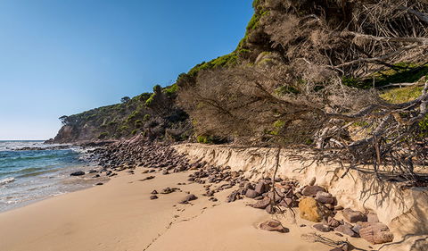 Terrace Beach And Lennards Island - Accommodation Bookings 2