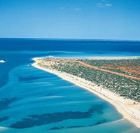 Monkey Mia - Accommodation Bookings