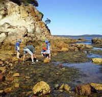 Sapphire Coast Marine Discovery Centre - Accommodation Bookings