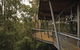 Tarkine Forest Adventures - Dismal Swamp - thumb 0