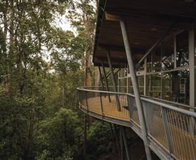 Tarkine Forest Adventures - Dismal Swamp - Accommodation Bookings 0