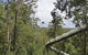 Tarkine Forest Adventures - Dismal Swamp - thumb 1