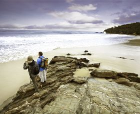 Wilderness Coast Walk - Accommodation Bookings 0