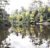 Arthur River - Accommodation Bookings