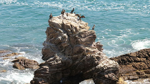 Ben Boyd National Park - Accommodation Bookings 2