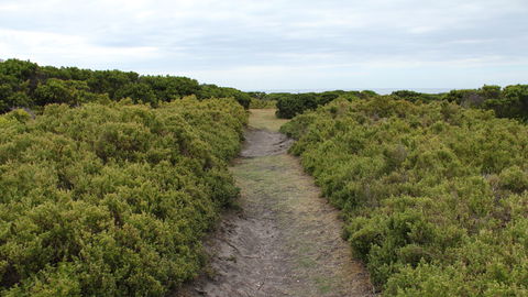 Ben Boyd National Park - Accommodation Bookings 3