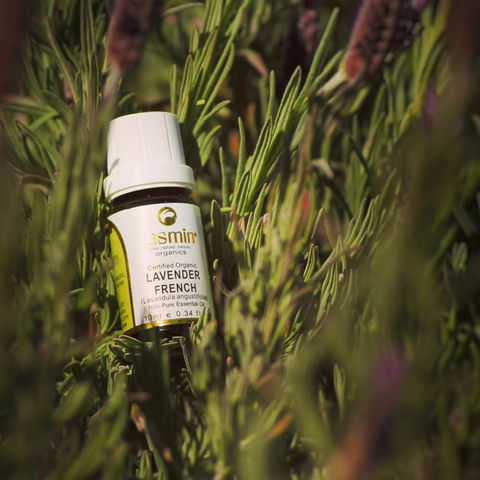 Jasmin Organics Skincare Farm And Factory - Accommodation Bookings 7
