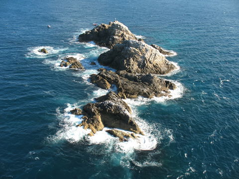 Cape Byron Marine Park - Accommodation Bookings 1