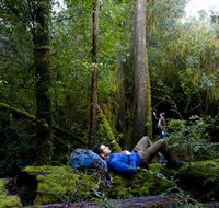 The Tarkine Drive - Accommodation Bookings