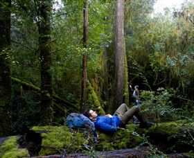 The Tarkine Drive - Accommodation Bookings 0