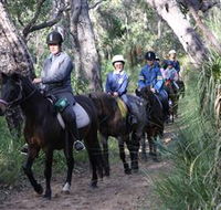 Mirravale Horse Riding School - Accommodation Bookings