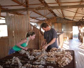 Peron Homestead - Accommodation Bookings 0