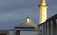 Green Cape Lighthouse - thumb 0
