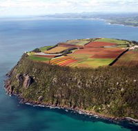 Table Cape - Accommodation Bookings