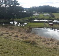 Guide Falls Farm - Accommodation Bookings