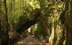 Philosopher Falls - thumb 0