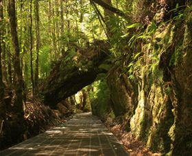 Philosopher Falls - Accommodation Bookings 0