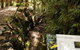 Philosopher Falls - thumb 1