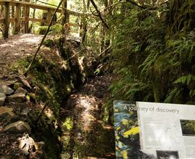 Philosopher Falls - Accommodation Bookings 1