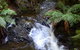 Philosopher Falls - thumb 4