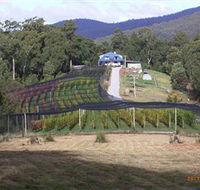 Motton Terraces - Accommodation Bookings