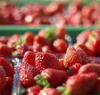 Turners Beach Berry Patch - Accommodation Bookings