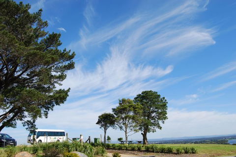 South Coast Scenic Tours - Accommodation Bookings 6