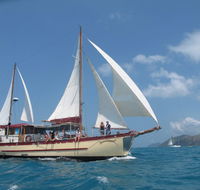 Adventure Cruise Dive and Outer Reef - Whitsundays Sailing Adventures - Accommodation Bookings