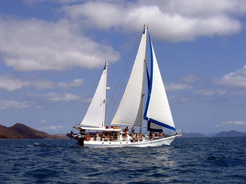 Adventure, Cruise, Dive And Outer Reef - Whitsundays Sailing Adventures - Accommodation Bookings 6