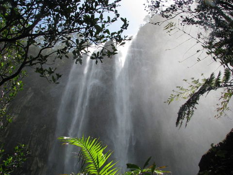 Vision Walks Eco Tours - Accommodation Bookings 19
