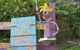 Vision Walks Eco Tours - thumb 23